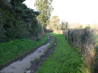 Long Lane to Craven A. image 4