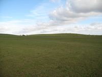 Merbach Hill image 3