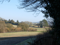 East Meon Drovers' House image 2