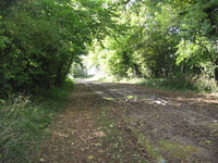 Campden Lane image 1