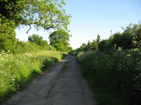 Start of Brackley Lane, Abthorpe