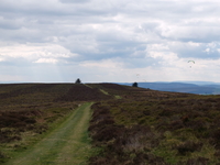 The Long Mynd (south) image 4
