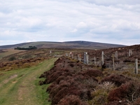 The Long Mynd (south) image 5