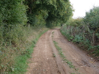 Burcombe Lane image 5