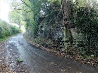 Ross to Newent (1) image 1