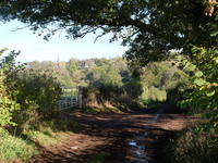 Ross to Newent (1) image 3