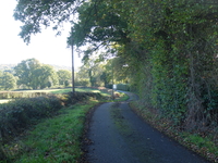 Ross to Newent (2) image 5