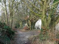 Halnaker Lane image 4