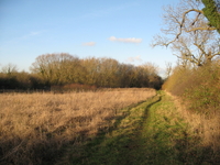 London Ford, Near J10 of the M40 image 4