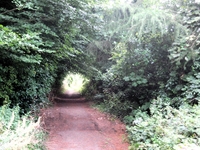 Tuddingway (2) image 3