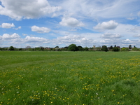 Pershore image 4