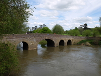 Pershore image 3