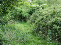 Dorsington & Cleeve image 5