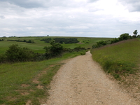 To Cleeve Common image 4