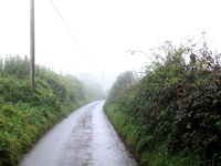 Hayhedge Lane, Bisley image 1